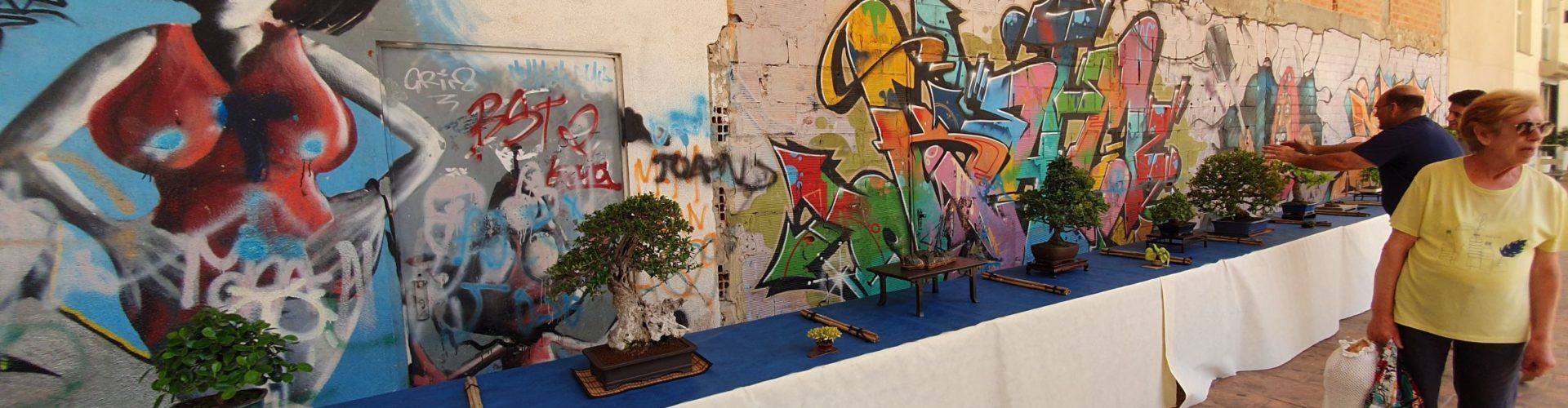 Vídeo i fotos de la mostra de bonsais i suiseki