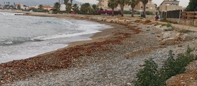 Compromís denuncia que el Ministeri mai ha fet una inversió com cal a les Costes de Benicarló