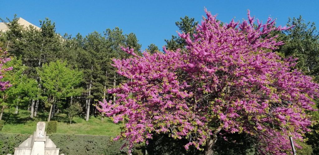 El temps, durant maig a Morella