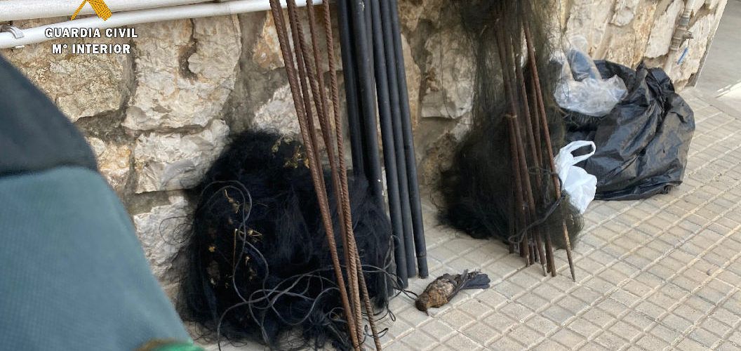 La Guardia Civil interviene cuatro redes de caza japonesa y libera 47 aves capturadas al medio natural en el Montsià