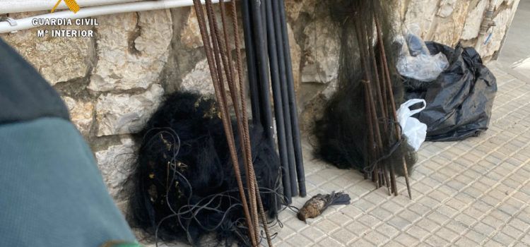 La Guardia Civil interviene cuatro redes de caza japonesa y libera 47 aves capturadas al medio natural en el Montsià