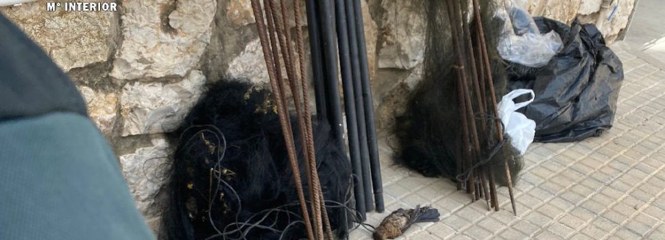 La Guardia Civil interviene cuatro redes de caza japonesa y libera 47 aves capturadas al medio natural en el Montsià