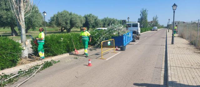 La nueva empresa de limpieza inicia los trabajos para mejorar el entorno de Panorámica en Sant Jordi