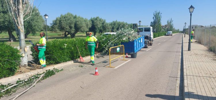 La nueva empresa de limpieza inicia los trabajos para mejorar el entorno de Panorámica en Sant Jordi
