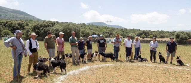 Gandalf i Julio Bayot es proclamen guanyadors del XV Concurs de Gossos de Rabera