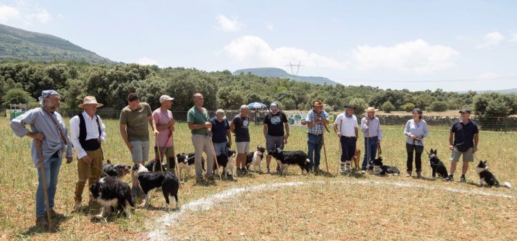 Gandalf i Julio Bayot es proclamen guanyadors del XV Concurs de Gossos de Rabera