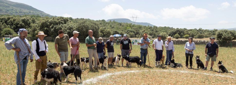 Gandalf i Julio Bayot es proclamen guanyadors del XV Concurs de Gossos de Rabera
