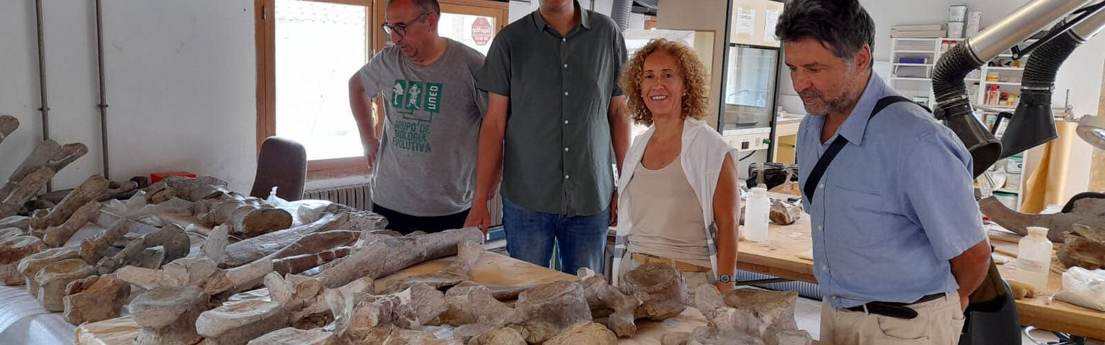 El patrimoni paleontològic es restaurarà en Morella