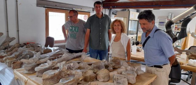 El patrimoni paleontològic es restaurarà en Morella