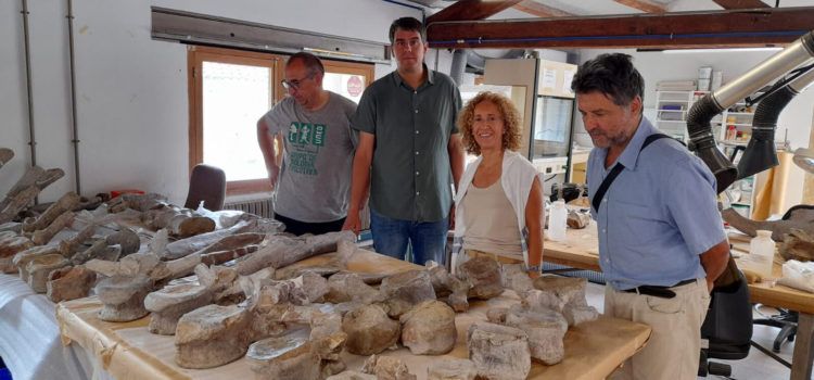 El patrimoni paleontològic es restaurarà en Morella