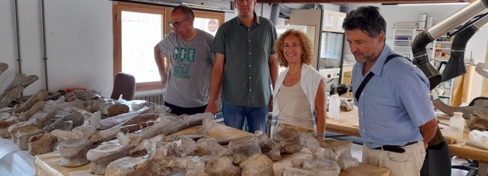 El patrimoni paleontològic es restaurarà en Morella