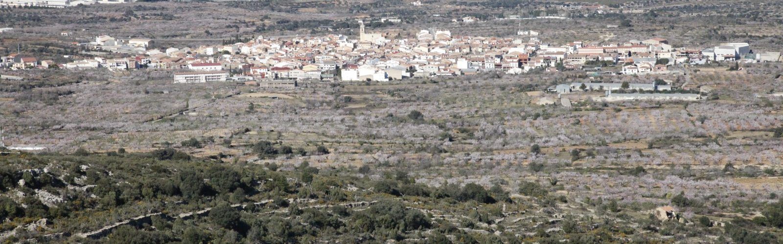 Albocàsser celebra de nou la romeria a Sant Pau
