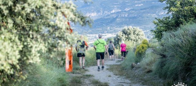 Èxit de participació en la XVI Cursa de Muntanya de Benassal