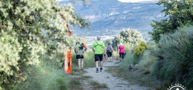 Èxit de participació en la XVI Cursa de Muntanya de Benassal
