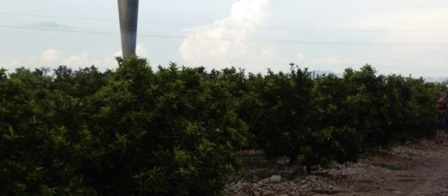 Vecinos de Ulldecona denuncian que los cañones antigranizo funcionaron ayer a pesar de reconocer la administración que son “ilegales e inútiles”