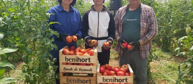 Benihort afronta su campaña estival de hortalizas con buenas perspectivas