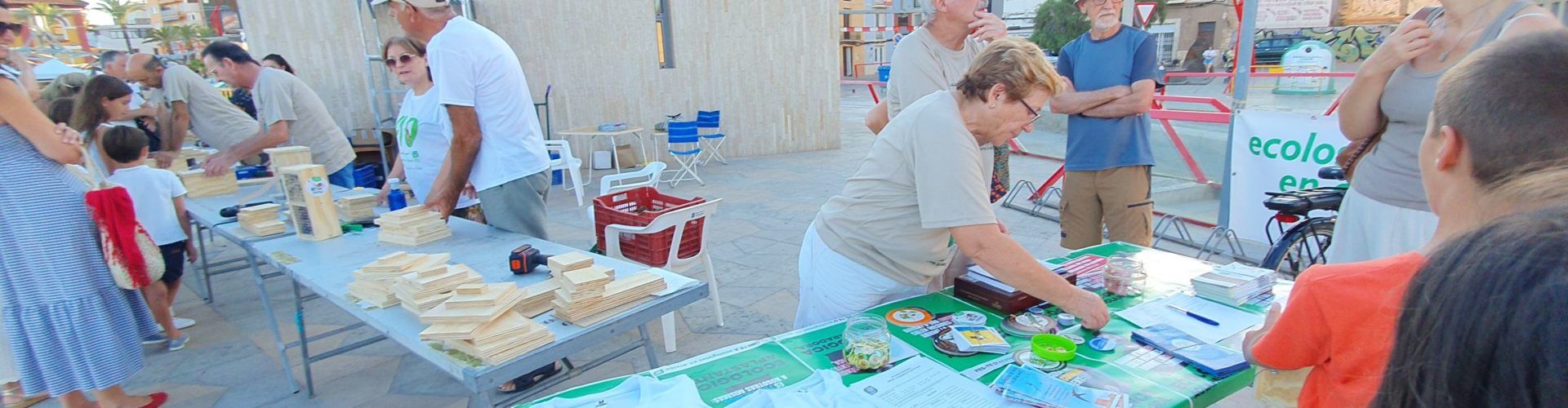 Construint caixes niu al passeig de Vinaròs