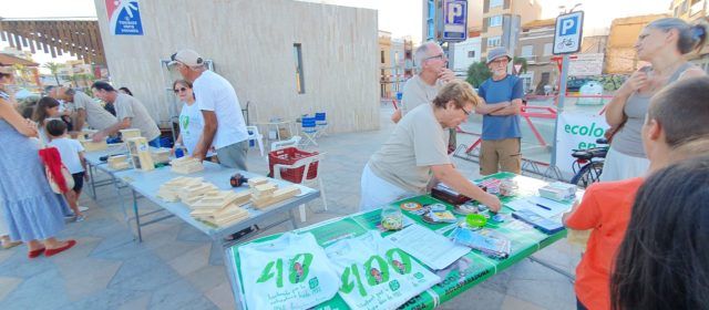 Construint caixes niu al passeig de Vinaròs