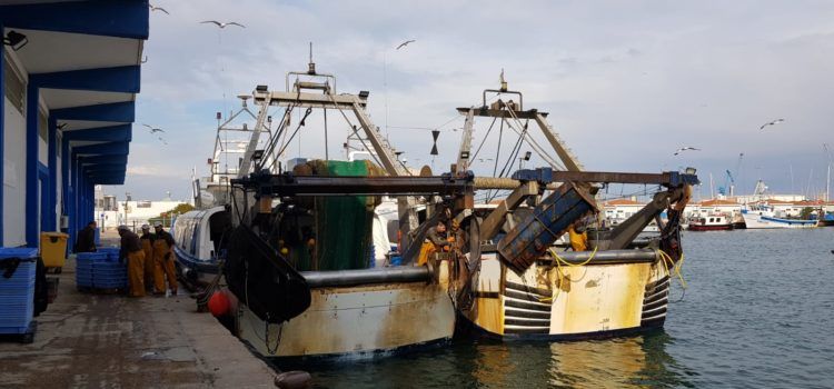 COINCOPESCA es reuneix amb la Secretaria General de Pesca del Govern d’Espanya per analitzar els elevats costos que estan ofegant el sector