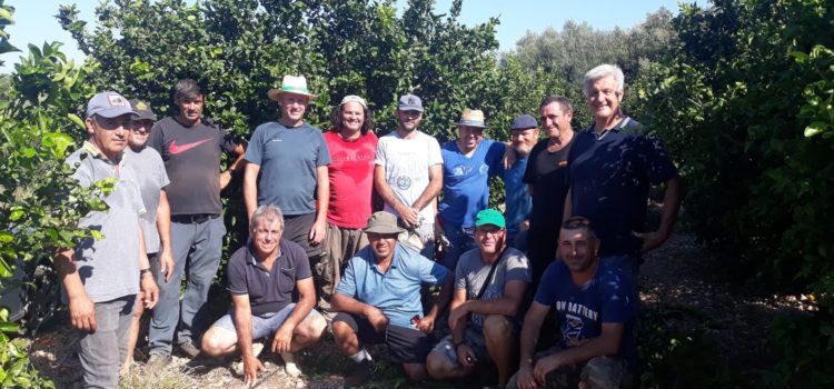 Interesante curso de poda sobre variedades citrícolas tardías en Benihort