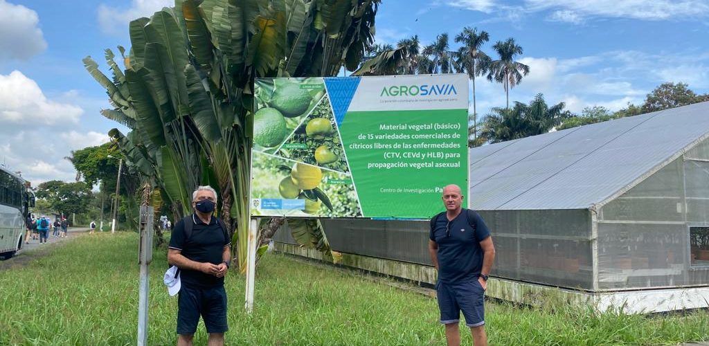 Benihort conoce la problemática de los cítricos latinoamericanos en un viaje de Agriconsa a Colombia