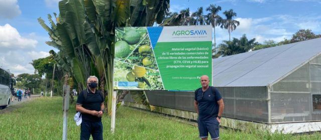 Benihort conoce la problemática de los cítricos latinoamericanos en un viaje de Agriconsa a Colombia