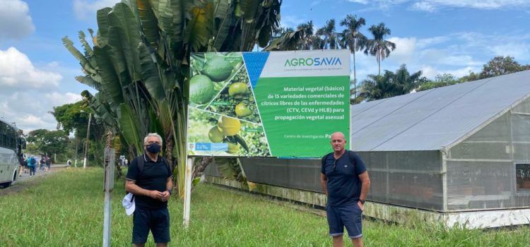 Benihort conoce la problemática de los cítricos latinoamericanos en un viaje de Agriconsa a Colombia