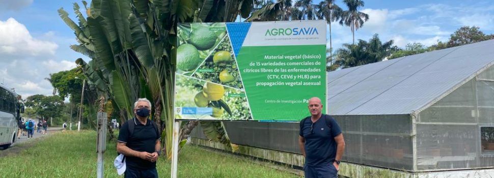 Benihort conoce la problemática de los cítricos latinoamericanos en un viaje de Agriconsa a Colombia