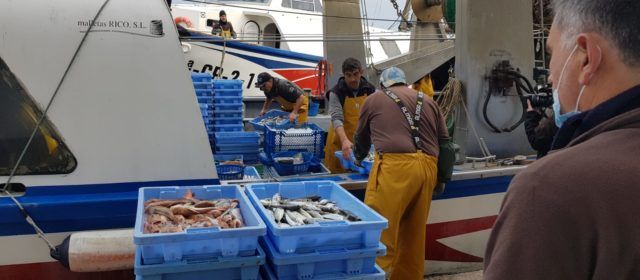Carta al comisario de pesca de la UE de todo el sector pesquero español