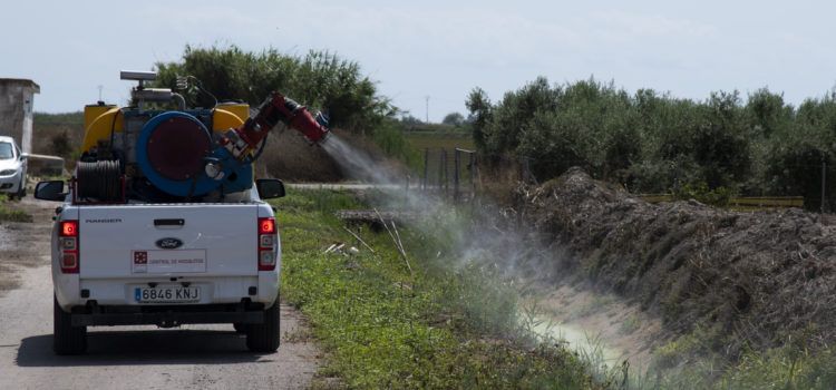 La Diputació aplicarà a Vinaròs tractaments terrestres contra els mosquits