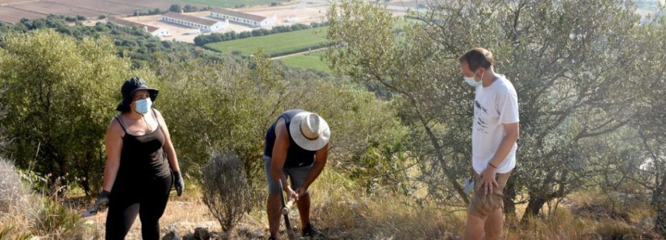 Investiguen el primer barri de cases documentat al poblat ibèric de l’Antic d’Amposta