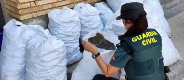 La Guardia Civil de Tortosa interviene casi media tonelada de algarrobas procedentes de hurto en una finca