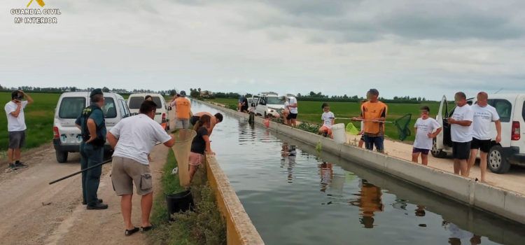 El SEPRONA participa en una jornada dirigida a los menores para el “rescate” de crías de aves acuáticas en los canales del Delta de l’Ebre