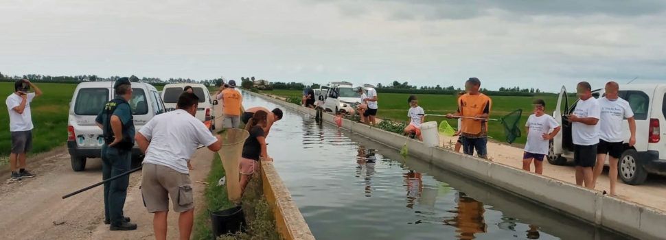 El SEPRONA participa en una jornada dirigida a los menores para el “rescate”  de crías de aves acuáticas en los canales del Delta de l’Ebre