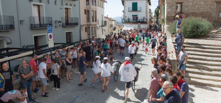 La Penya el Bou viu el seu dia dins les festes d’agost de Morella