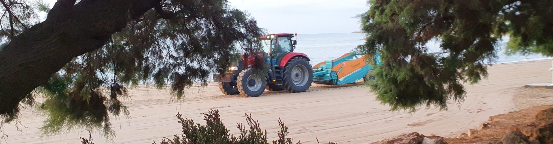 Fotos: neteja matinera de les platges de Vinaròs