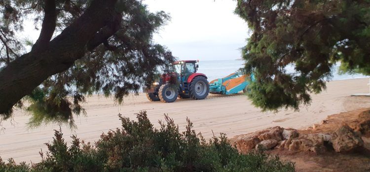 Fotos: neteja matinera de les platges de Vinaròs
