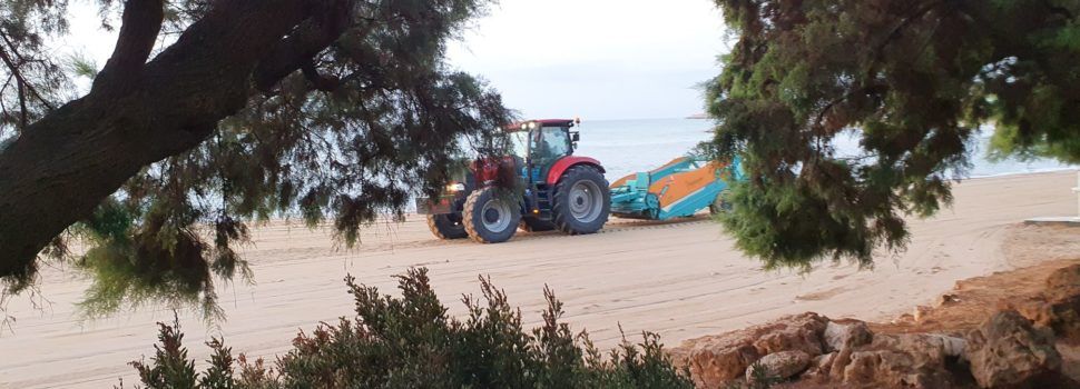 Fotos: neteja matinera de les platges de Vinaròs