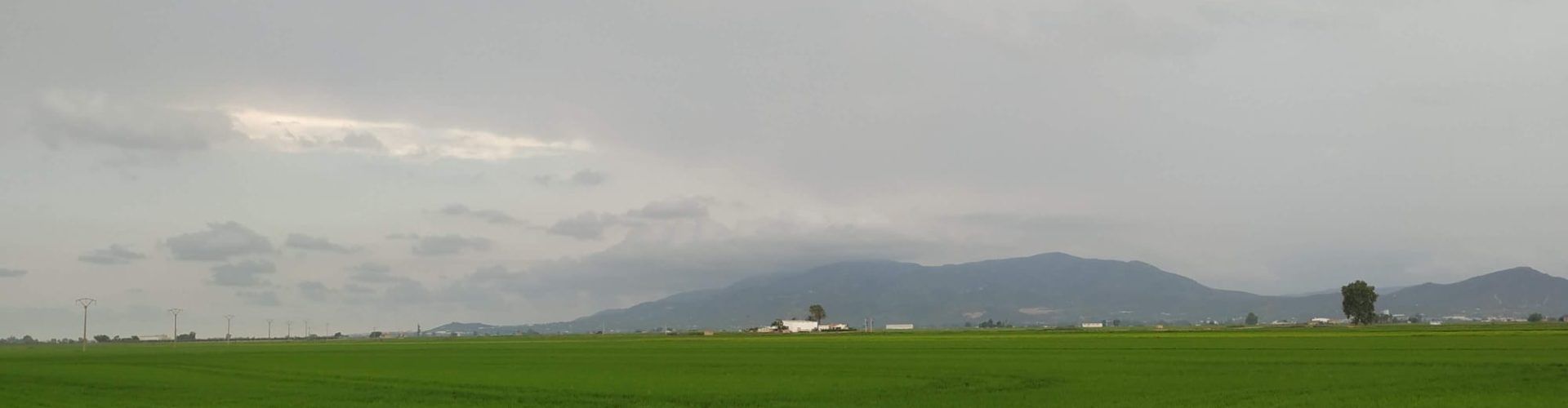 Fotos: Entre Amposta i Balada, al Delta de l’Ebre