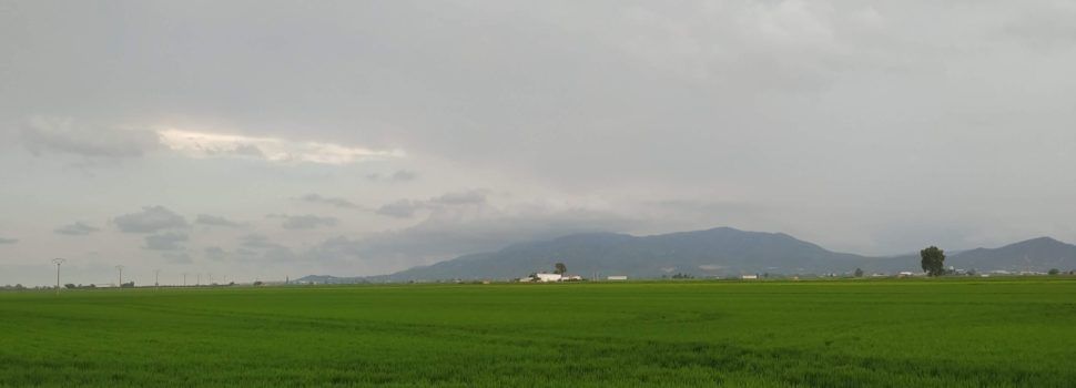 Fotos: Entre Amposta i Balada, al Delta de l’Ebre