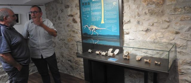 El paleontòleg José Miguel Gasulla vaticina la troballa de noves espècies de dinosaures als Ports