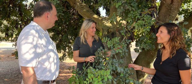El PP planteja una línia d’ajudes per a la contractació de guardes rurals amb els quals combatre els robatoris al camp