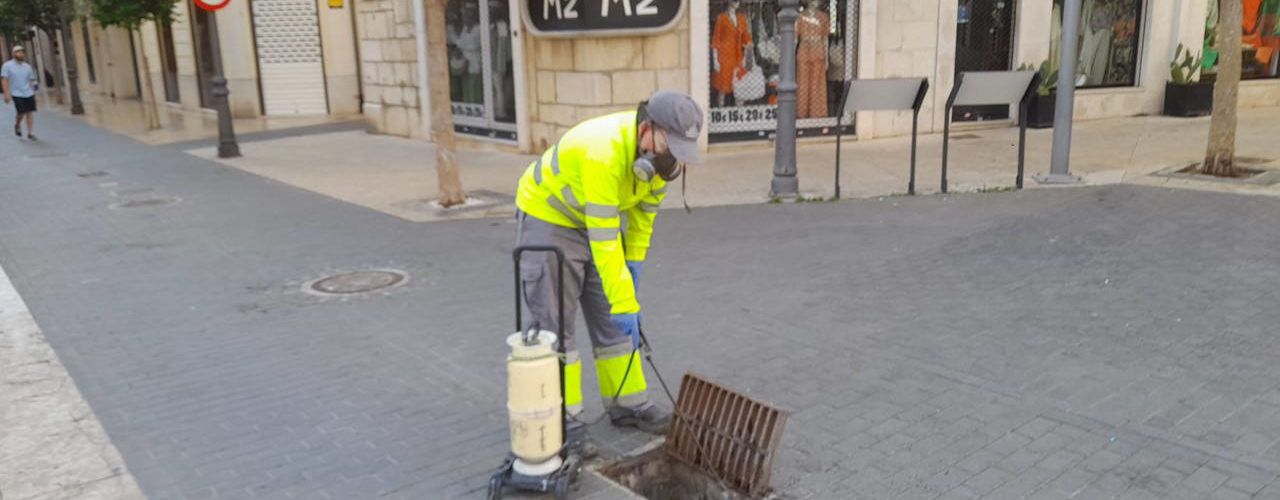 La Diputació de Castelló aplica a Vinaròs nous tractaments contra els mosquits