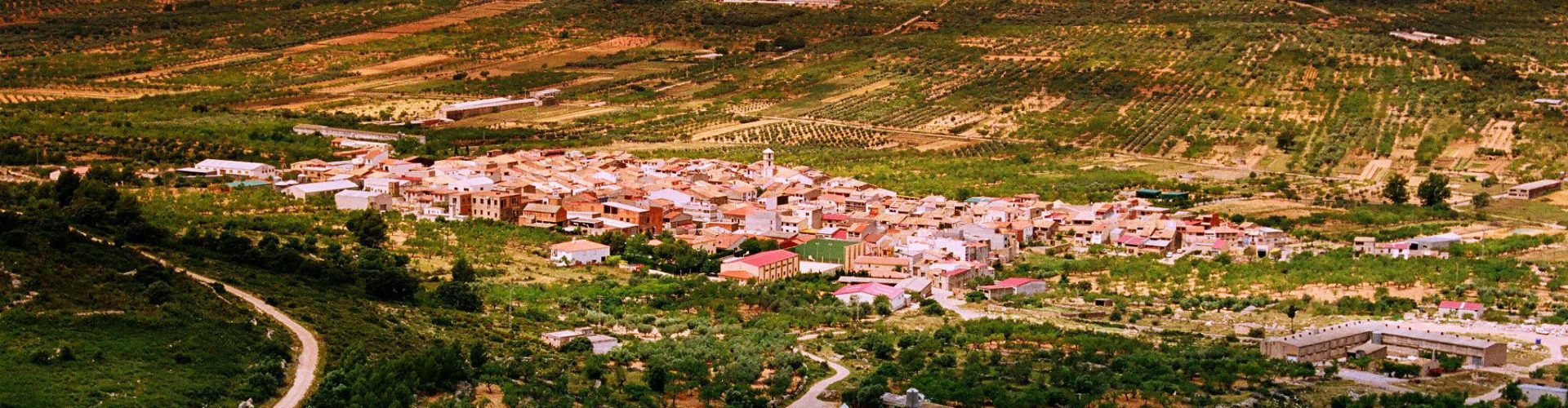 Tírig contracta una persona per a ajuda domiciliària