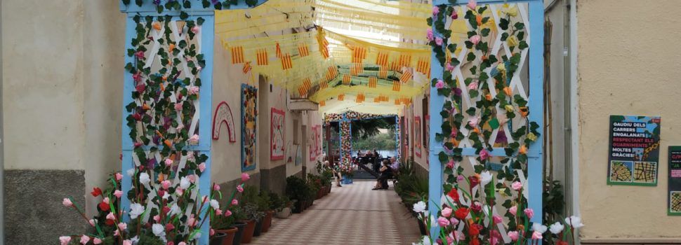 Fotos: Carrers engalanats a Amposta