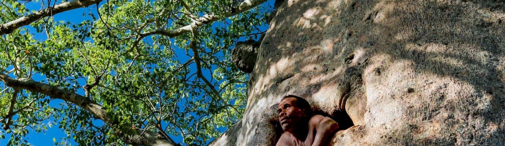 El Terres Travel Festival torna a Tortosa amb una selecció del millor cinema sobre viatges i turisme