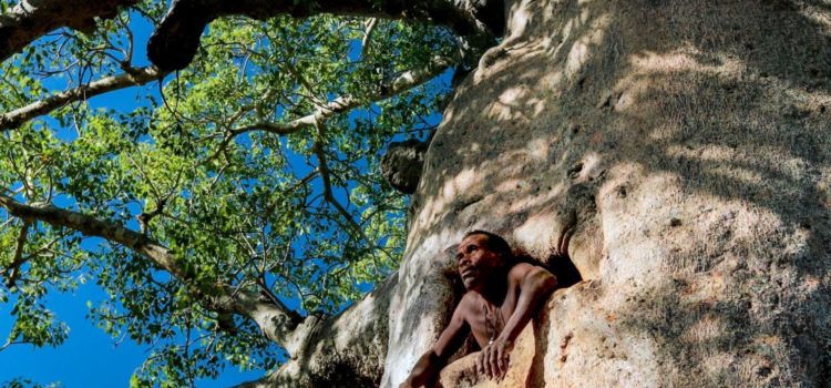 El Terres Travel Festival torna a Tortosa amb una selecció del millor cinema sobre viatges i turisme