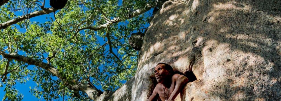 El Terres Travel Festival torna a Tortosa amb una selecció del millor cinema sobre viatges i turisme