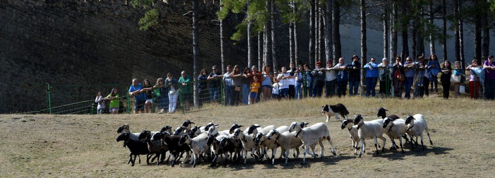 El sector primari, protagonista de la 764a Fira de Morella
