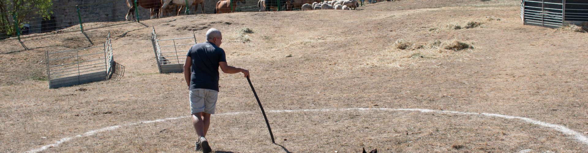 La 764a Fira de Morella, tot un èxit